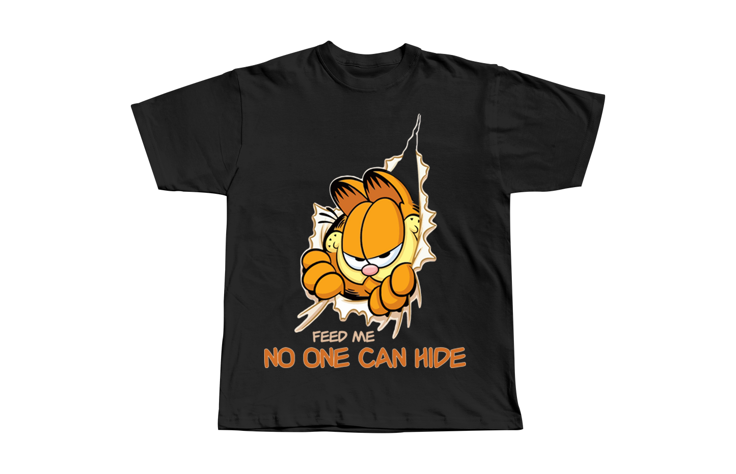 NO ONE CAN HIDE - GARFIELD