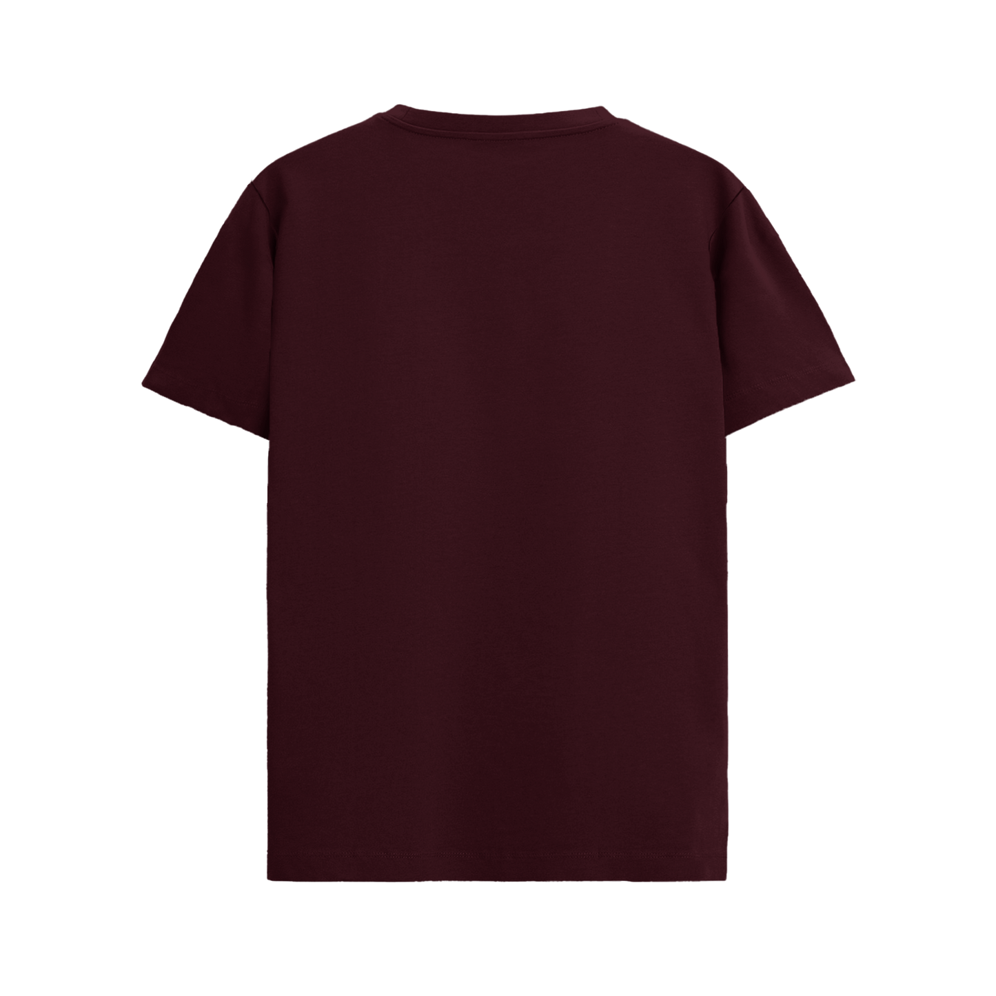 LETLIVE SUPIMA MARRON T-SHIRT