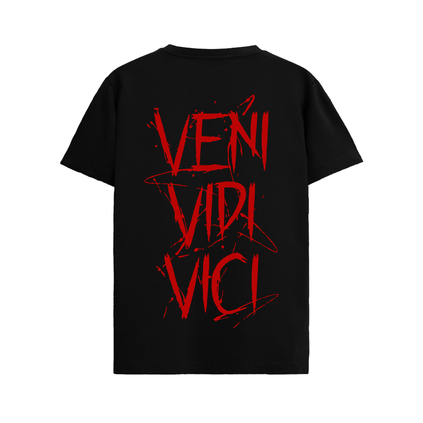 VENI VEDI VICI T-shirt