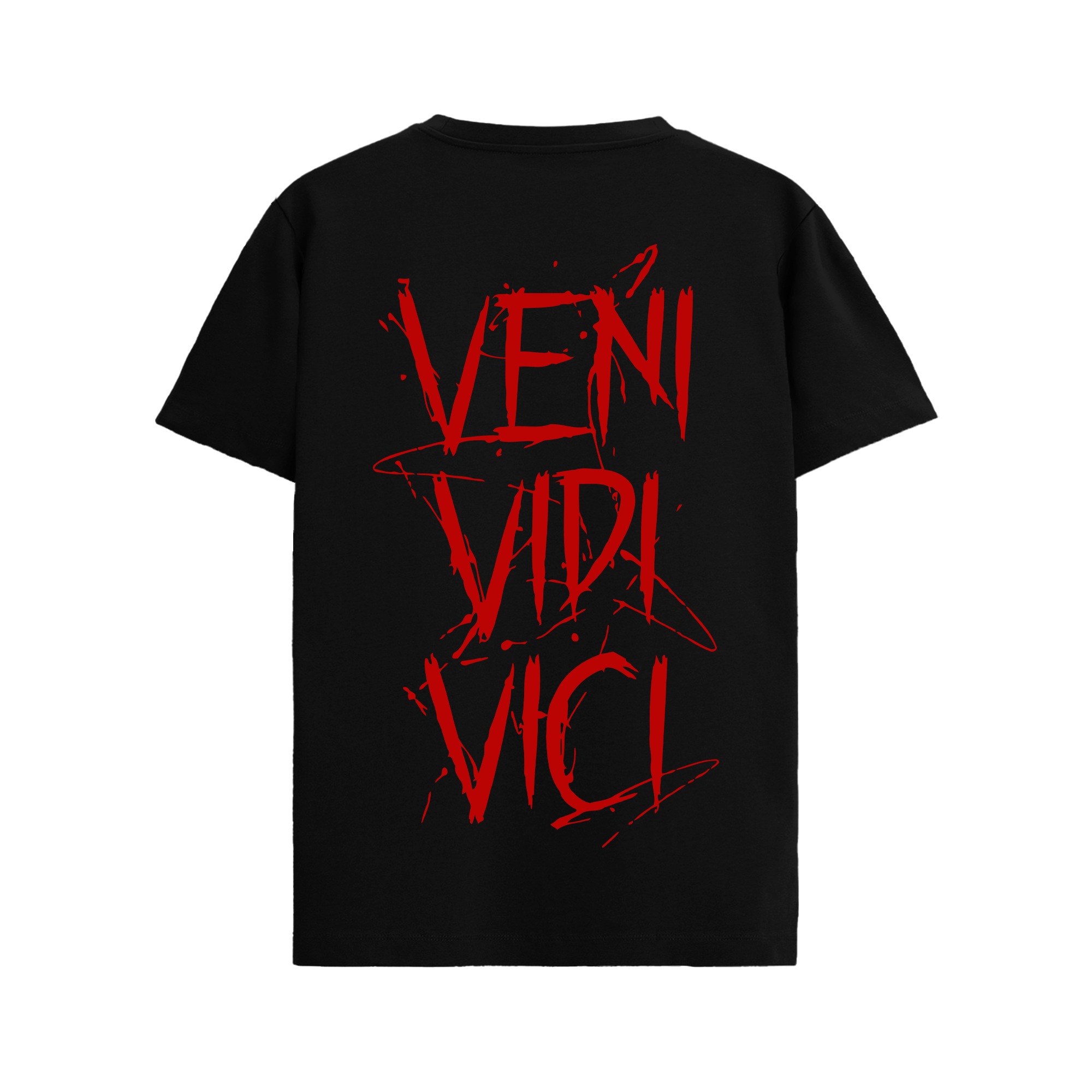 VENI VEDI VICI T-shirt