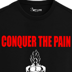 CONQUER THE PAIN