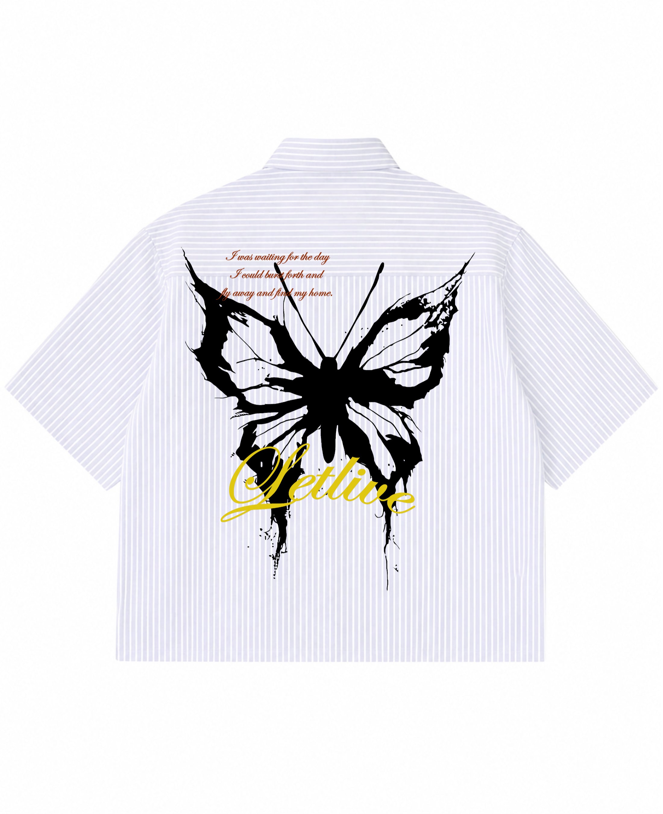 Blue Striped Oxford Boxy Shirt Back Design