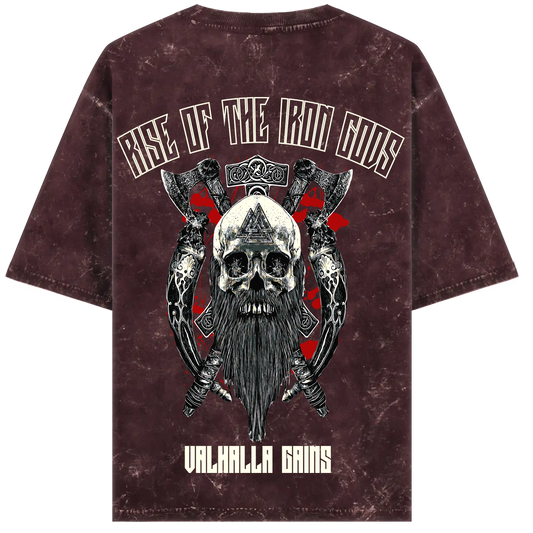 RISE OF THE IRON GODS - VIKINGS